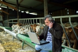 La reprise du bail rural